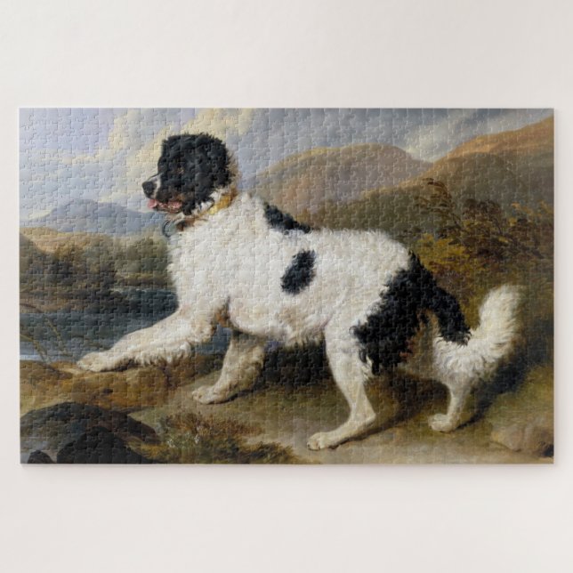 Quebra-cabeça Landseer Newfoundland Dog (Black and White Animal) (Horizontal)