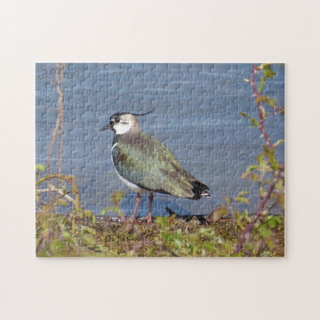 Quebra-cabeça Laptop no modo de posição (Horizontal)