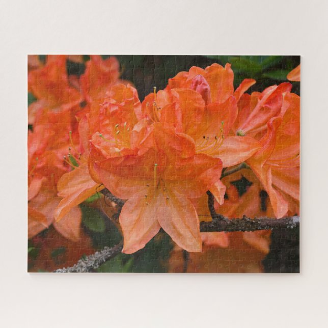 Quebra-cabeça Laranja Rhododendron (Horizontal)