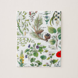 Quebra-cabeça Larousse planta calmantes, emollientes, pectorales