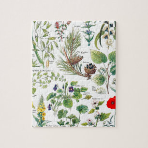 Quebra-cabeça Larousse planta calmantes, emollientes, pectorales