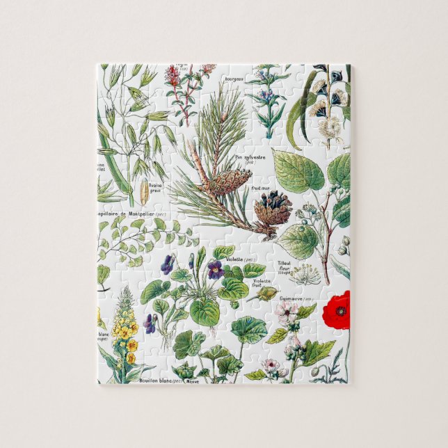 Quebra-cabeça Larousse planta calmantes, emollientes, pectorales (Vertical)