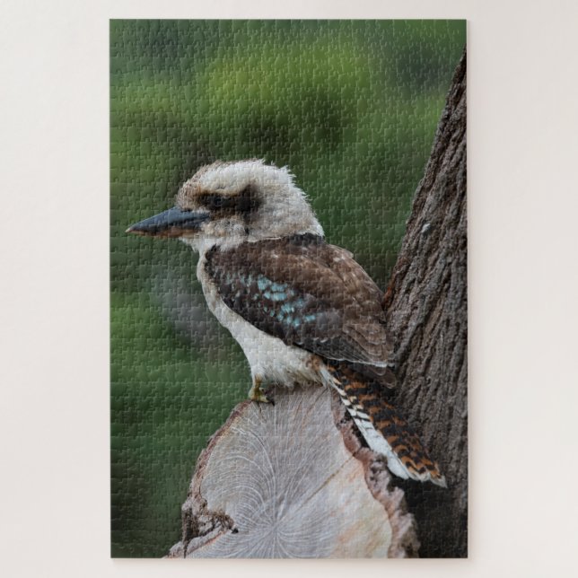 Quebra-cabeça Laughing Kookaburra Bird in a Tree, 1014 pieces (Vertical)
