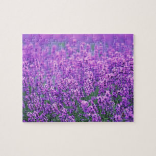 Quebra-cabeça Lavanda