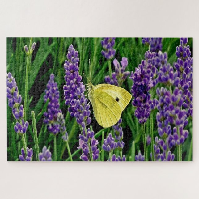 Quebra-cabeça Lavanda Floral Garden com Borboleta 1014 pc Quebra (Horizontal)