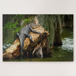 Quebra-cabeça Lazy Gator Jigsaw Puzzle