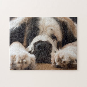 Quebra-cabeça Lazy Saint Bernard dog