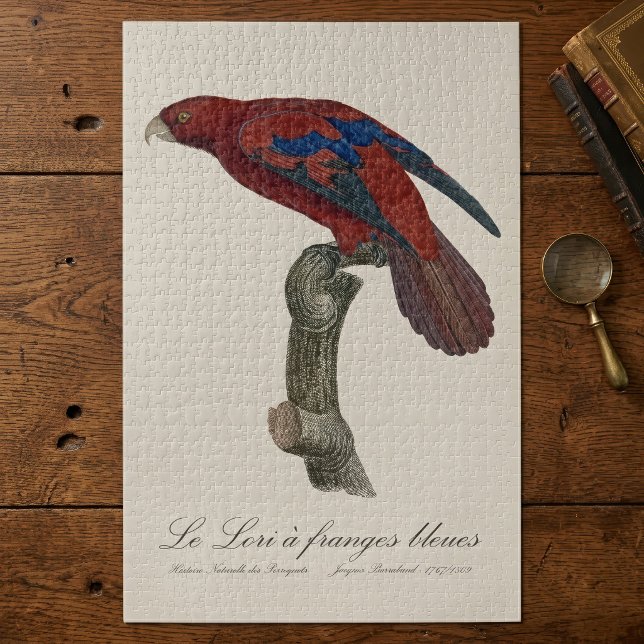 Quebra-cabeça Le Lori a franges bleues (Long-Tailed Red Lory, Trichoglossus borneus. Jigsaw Puzzle)