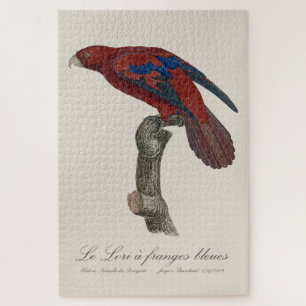 Quebra-cabeça Le Lori a franges bleues