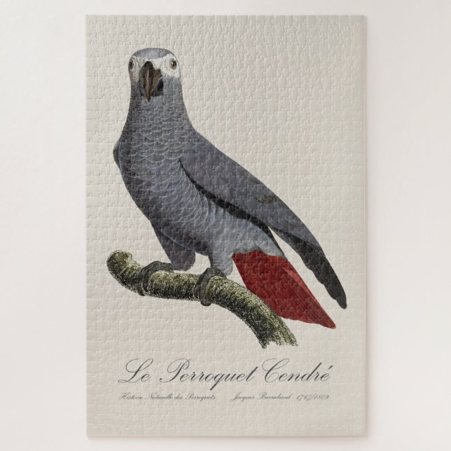 Quebra-cabeça Le Perroquet Cendre - Ilustração do século XIX (Vertical)