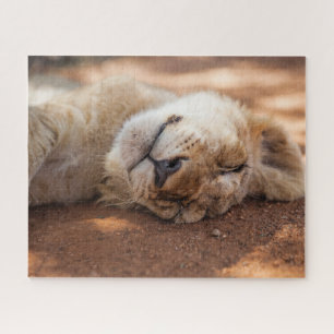 Quebra-cabeça Leão Cub do sono das imagens de Getty