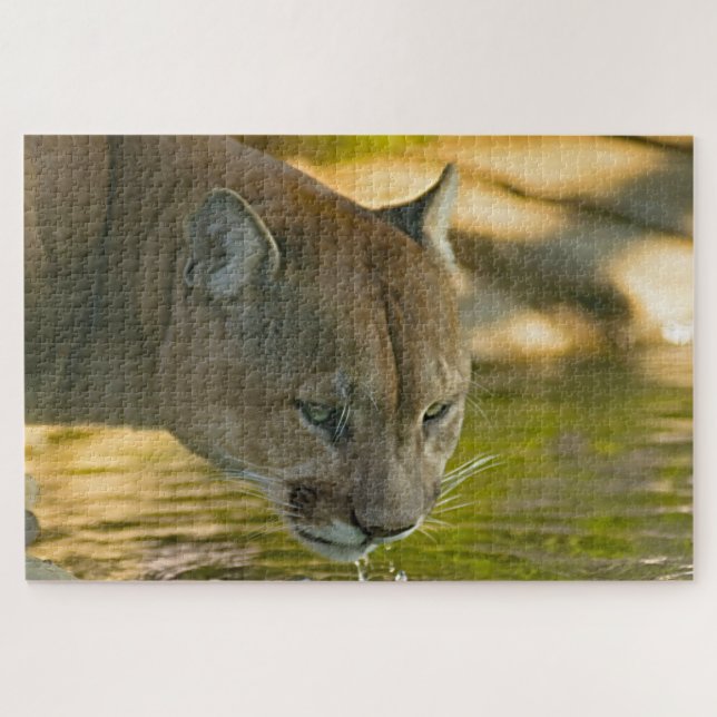 Quebra-cabeça Leão-da-montanha Puma. (Horizontal)