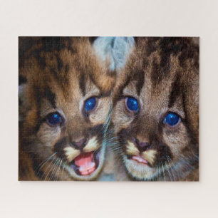 Quebra-cabeça Leão de montanha Cougar.
