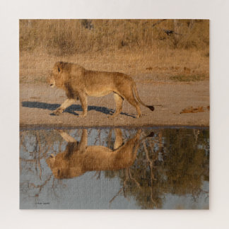 QUEBRA-CABEÇA LEÃO MACHO REFLETIDO