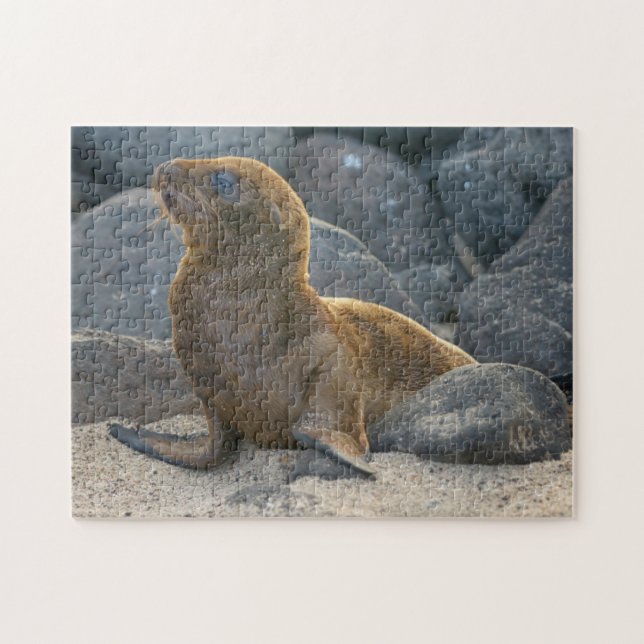 Quebra-cabeça Leão-marinho-das-galápagos (Horizontal)