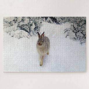 Quebra-cabeça Lebre de inverno (Coelho), Bruno Liljefors