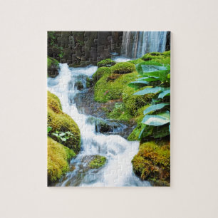 Quebra-cabeça Legal cachoeira em jardim verde