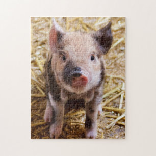 Quebra-cabeça Leitura KuneKune