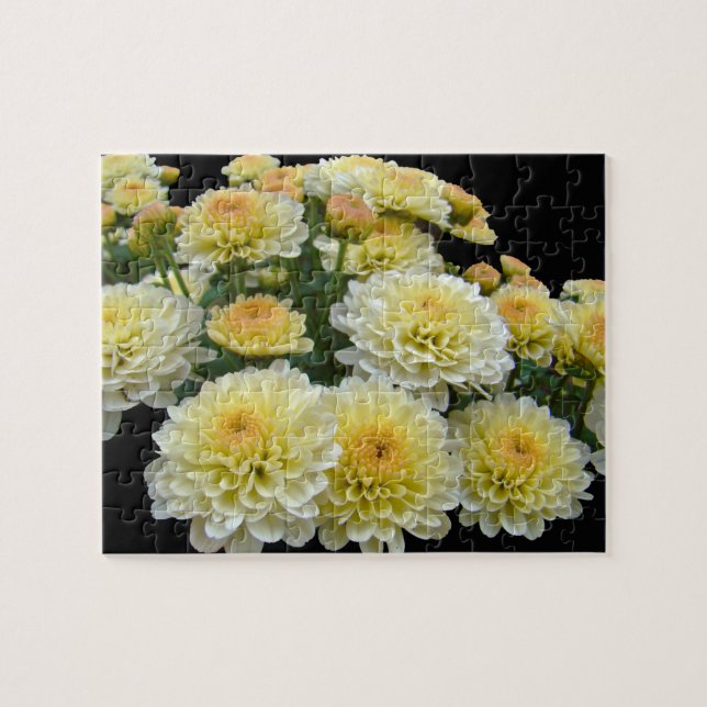 Quebra-cabeça Lemon Meringue Chrysanthemums (Horizontal)