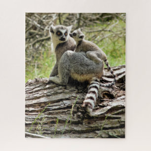 QUEBRA-CABEÇA LEMUR DE ALCANCE