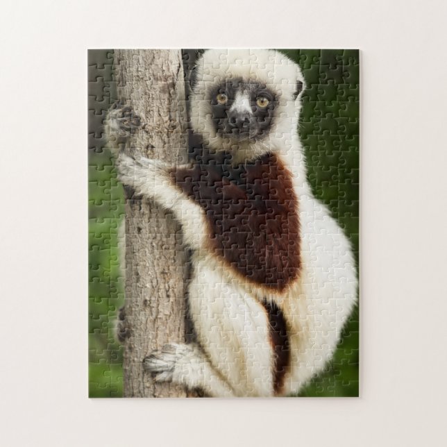 QUEBRA-CABEÇA LEMUR JIGSAW (Vertical)