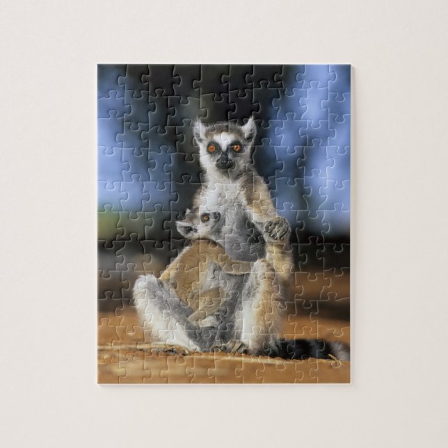 Quebra-cabeça Lêmure-de-cauda-anelada, (Lemur catta), Mãe e (Vertical)