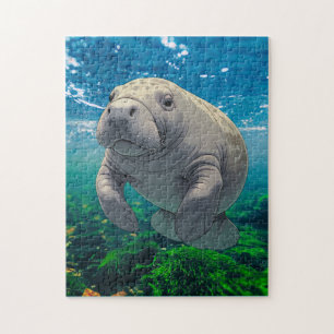 Quebra-cabeça Lentamente para baixo e faça deriva para manatear