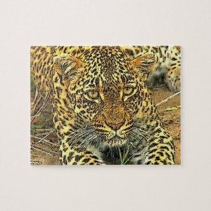Quebra-cabeça Leopardo