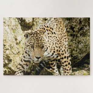 Quebra-cabeça Leopardo