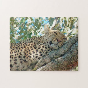 Quebra-cabeça Leopardo De Olhos Sonoros