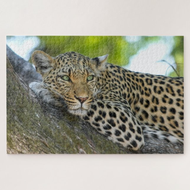 Quebra-cabeça Leopardo do Botsuana (Horizontal)