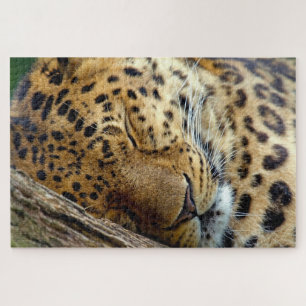 Quebra-cabeça Leopardo dormindo em um tronco