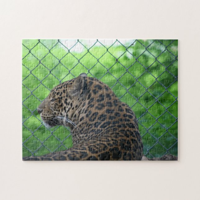 Quebra-cabeça Leopardo em cativeiro (Horizontal)