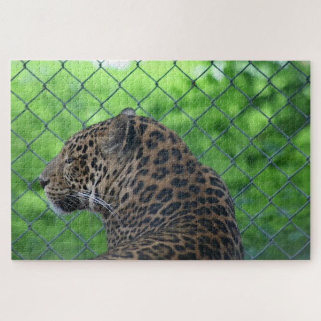 Quebra-cabeça Leopardo em gaiola (Horizontal)