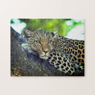 Quebra-cabeça Leopardo em um grande gato majestoso de árvore