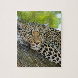 Quebra-cabeça Leopardo impressionante
