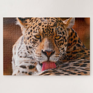Quebra-cabeça Leopardo limpando suas patas no chão