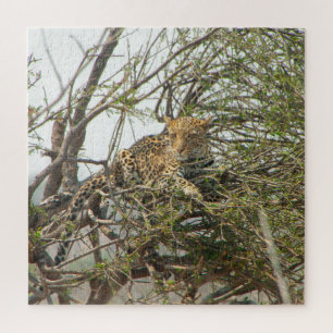 Quebra-cabeça Leopardo na árvore