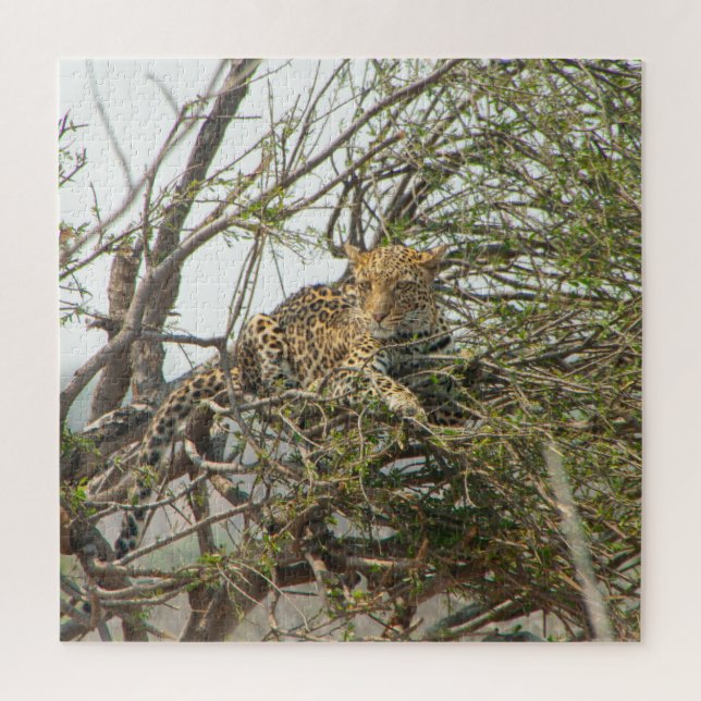 Quebra-cabeça Leopardo na Árvore (Vertical)