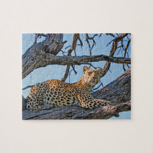 Quebra-cabeça Leopardo na árvore