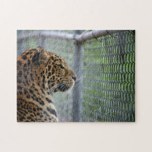 Quebra-cabeça Leopardo na Gaiola