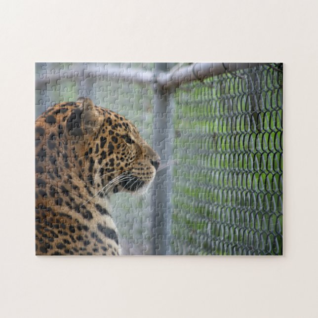 Quebra-cabeça Leopardo na Gaiola (Horizontal)