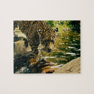Quebra-cabeça Leopardo que cruza um córrego
