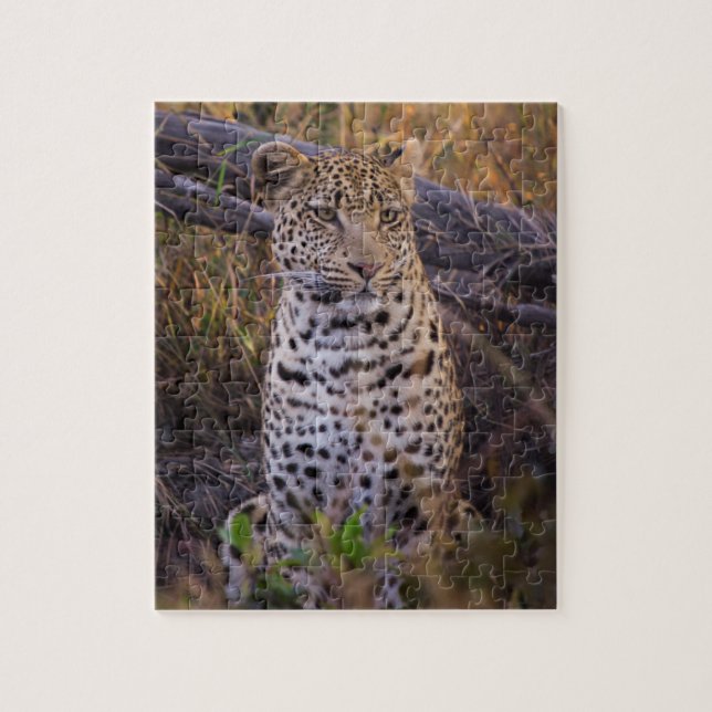 Quebra-cabeça Leopardo sentado, Botsuana, África (Vertical)