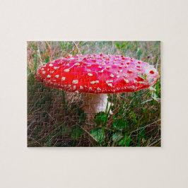 Quebra-cabeça Leprechauns onde as pequenas pessoas vivem a Irlan