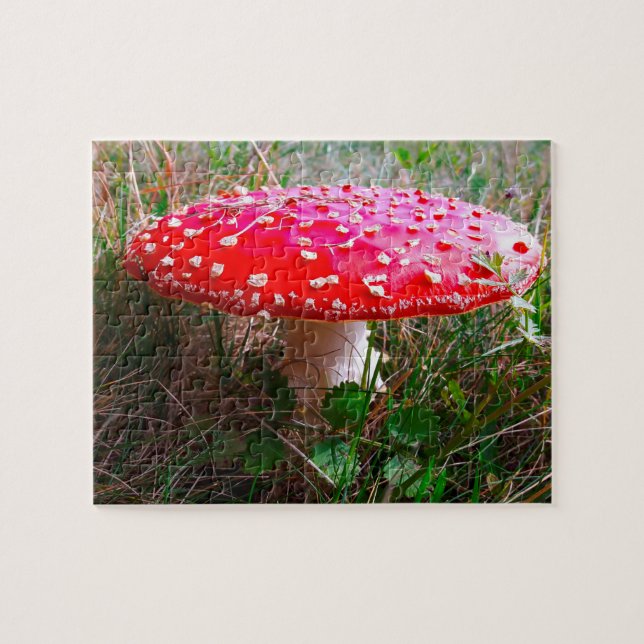 Quebra-cabeça Leprechauns onde as pequenas pessoas vivem a Irlan (Horizontal)