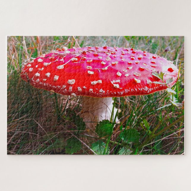 Quebra-cabeça Leprechauns onde as pequenas pessoas vivem a Irlan (Horizontal)