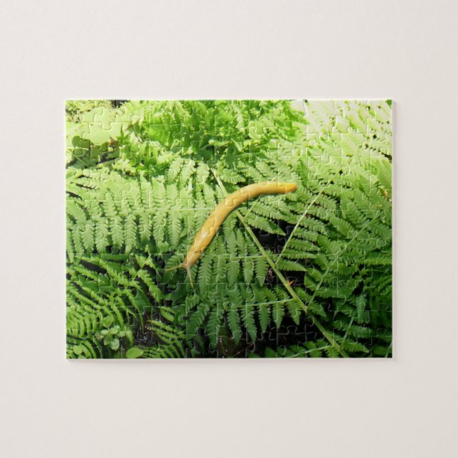 Quebra-cabeça Lesma Banana em Samambaias I (Horizontal)