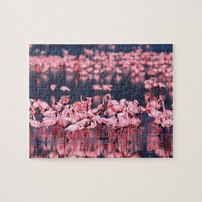 Quebra-cabeça Lesser Flamingos (Phoeniconaias minor), África, (Horizontal)