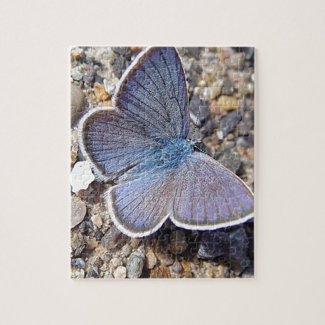 Quebra-cabeça Light blue butterfly jigsaw puzzle (Vertical)